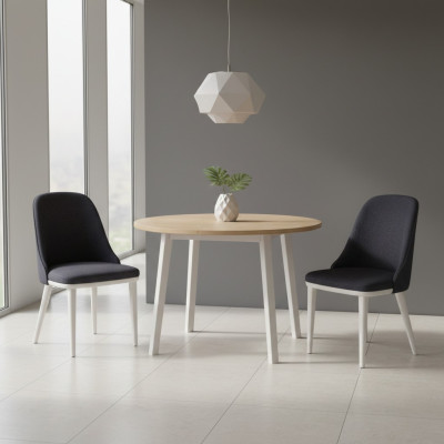 Comedor Multicolor 2 sillas Modernas Comedor Nuevas Sillas Diseño de Lujo