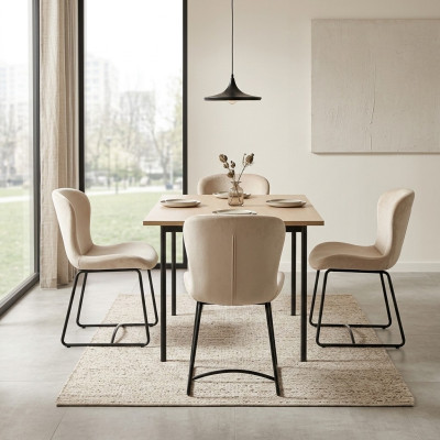 Silla de comedor 4 sillas Comedor Moderno Sillas Diseño Metálico Blanco