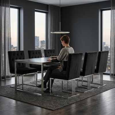 Silla de comedor negra con respaldo 6x Silla de diseñador Silla de acero inoxidable