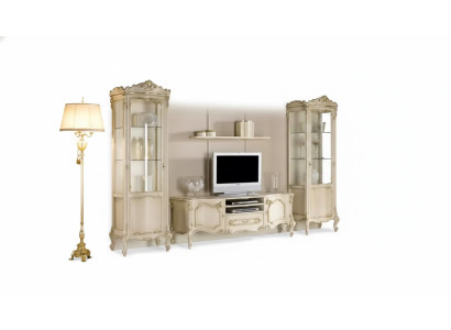 Sala de estar conjunto de mueble de pared grupo mueble bajo vitrina 4 piezas. Mueble de madera estante.