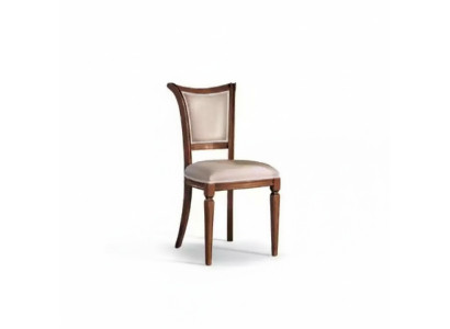 Silla del comedor silla sillón asiento comedor madera clásico lujo gris