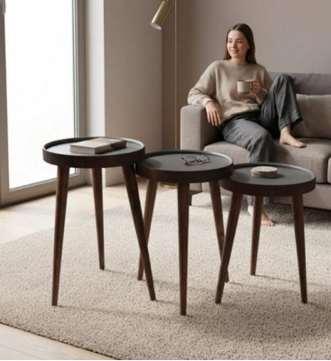 Marrón Madera 3x Mesas de Centro Sala de Estar Conjunto Mesa Auxiliar de Lujo