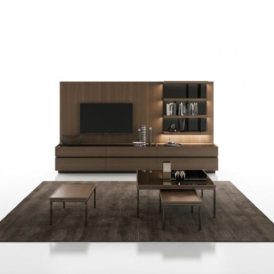 Muebles de madera sala de estar lujo pared modular moderna diseño interior nuevo