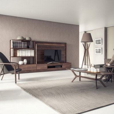 Salón de lujo, estantería para la televisión, muebles de madera, estanterías de libros, marco de televisión, nuevos.