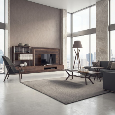 Salón de lujo, estantería para la televisión, muebles de madera, estanterías de libros, marco de televisión, nuevos.