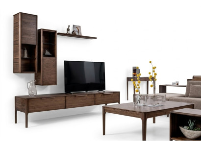 Conjunto de sala de estar, mueble de pared con estante y soporte para TV, diseño moderno de pared de sala.
