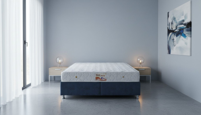 Espuma moderna Colchón exclusivo Muebles de lujo Ortopédico 25cm 200x200 Nuevo