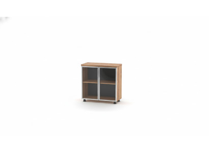 Armario de archivos con puertas de cristal en marrón unicolor, estante insertable, para el estudio.