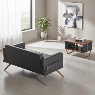 Conjunto de estudio de 2 piezas sofá de 2 plazas con mesa de centro gris marrón bicolor