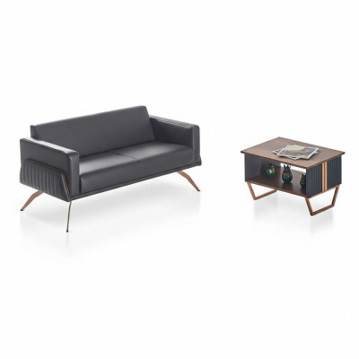 Conjunto de estudio de 2 piezas sofá de 2 plazas con mesa de centro gris marrón bicolor