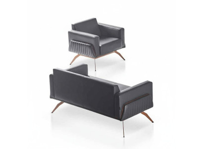 Set de sala de estar de 2 piezas con sofá de 2 plazas y sillón gris monocromático.
