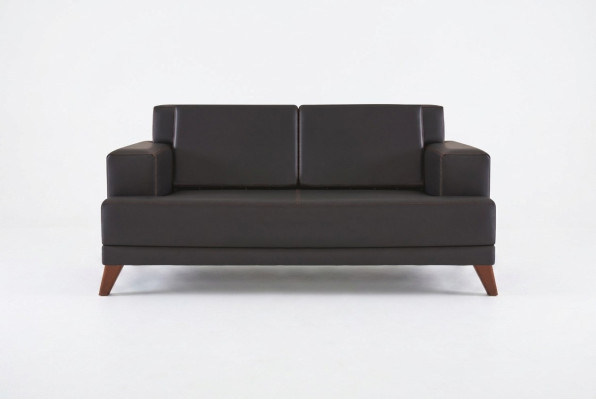 Sofá de cuero de 2 plazas en negro de diseño moderno de un solo color con estructura de madera.