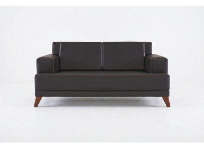 Sofá de cuero de 2 plazas en negro de diseño moderno de un solo color con estructura de madera.