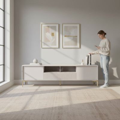 Mueble de TV móvil moderno en acero inoxidable