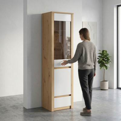 Vitrina con puertas de vidrio y estantes de vidrio