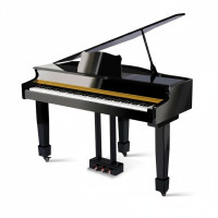 Pianos & Pianos de cola