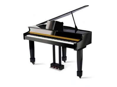 Pianos & Pianos de cola category