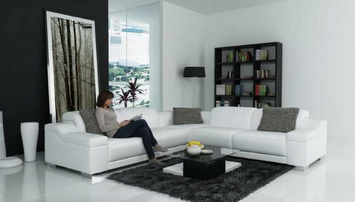 Muebles de salón esquineros Rincón Sofá Asiento Sofá Conjunto Paisaje Cuero 2711D