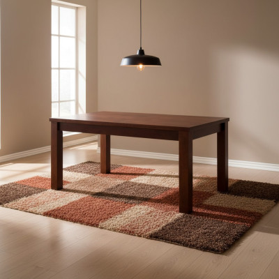 Mesa Mesa de comedor Mesa de madera XXL Mesa de conferencias 70X120cm Extensible 120X160cm