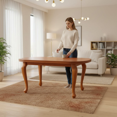 Mesa Mesa de comedor Mesa de madera XXL Mesa de conferencia 100x200cm Extensible 200x300cm