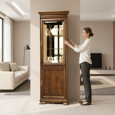 Vitrina clásica Armario vitrina Mueble de vitrina pared de cristal - Modelo N-WN