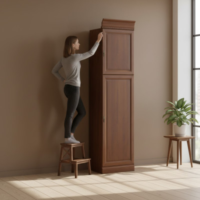 Clásico armario Armario Mueble de pared Armario de madera Vitrina Estante - Modelo BA-12
