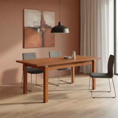 Mesa mesa de comedor mesa de madera XXL mesa de conferencia S18-L-S 90X160cm extensible