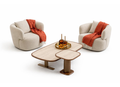 Wohnzimmer Set Moderner Stil Beige Farbe Polstersessel Holzrahmen